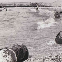 Flotsam despoiling the beach at Gordon Park