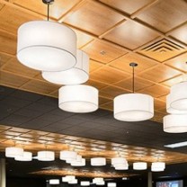 Entrepreneurship: Wood Trac, an affordable, drop-ceiling system developed and marketed by Sauder Woodworking, a family-owned business in Ashland, Ohio